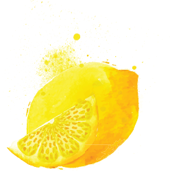 Gesundheits-Coaching entdecken