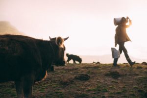 Milch und Milchprodukte führen häufig zu Unverträglichkeitssymptomen