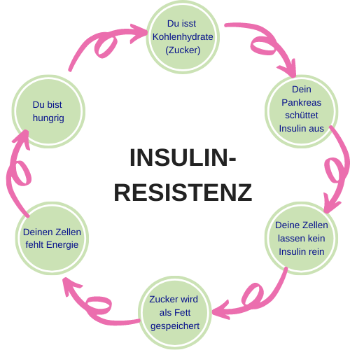 Teufelskreis Insulinresistenz